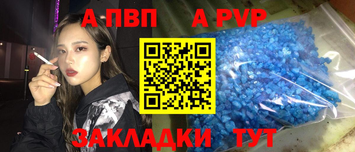 Альфа ПВП СК КРИС Славянск-на-Кубани