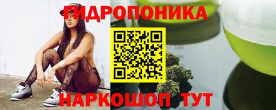 прущие крисы Будённовск