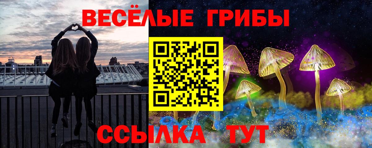 Псилоцибиновые грибы GOLDEN TEACHER  Вход с VPN  Славянск-на-Кубани 