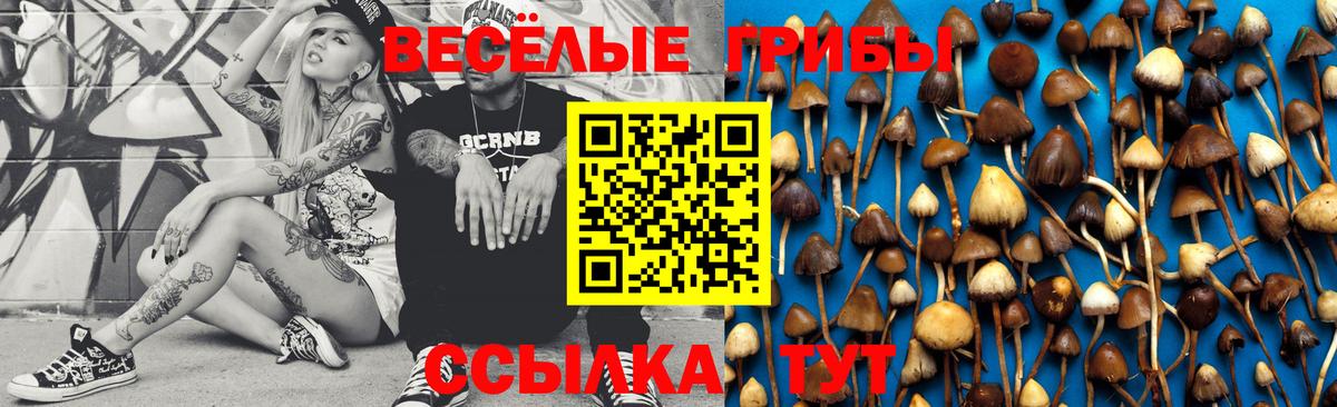 Псилоцибиновые грибы Psilocybe Славянск-на-Кубани